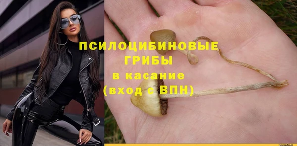 героин Михайлов