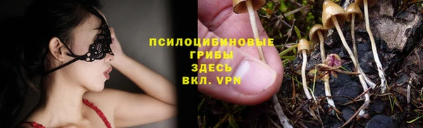 амф Мегион