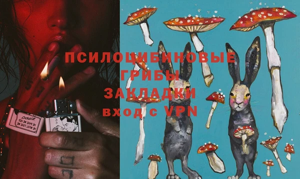 героин Михайлов