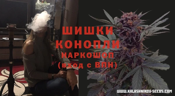 амф Мегион